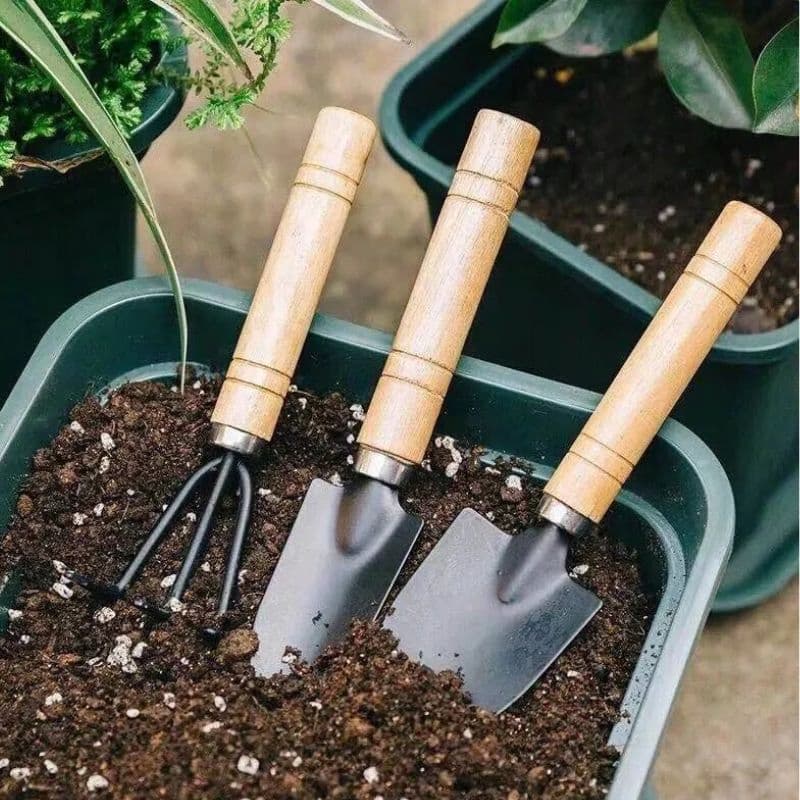 A3_tds0603_Zestaw narzędzi ogrodniczych Wood